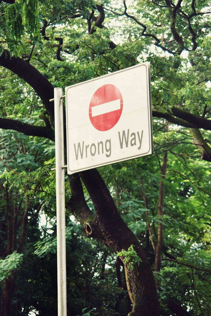 creative-02 Traffic sign with a 'Wrong Way' message amidst vibrant green trees.